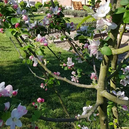 La Ceriseraie Bed & Breakfast